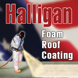 Halligan-Logo